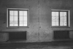 Dachau_KZ113618-01